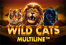 Wild Cats Multiline